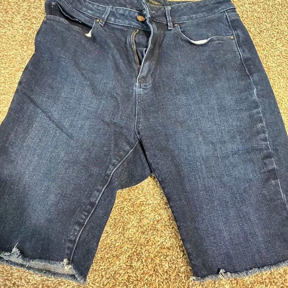 Ann-taylor Women's Navy and Blue Shorts